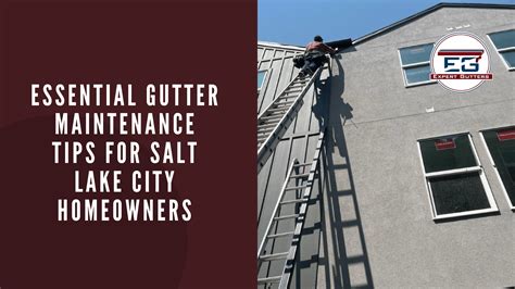Image result for Gutter Maintenance Tips
