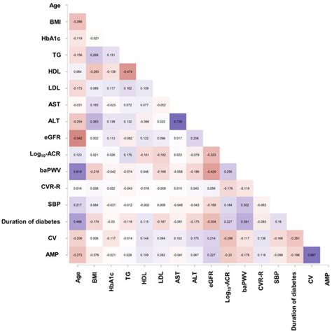 Association between Diabetic Peripheral Neuropathy as Measured Using a ...