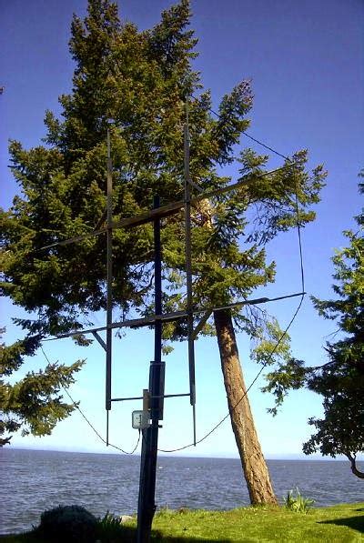 Image result for Wellerman Loop