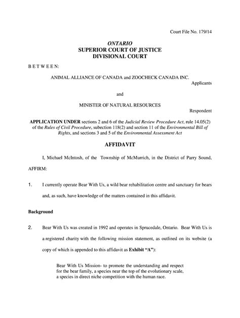 Affidavit Template Ontario - Fill Online, Printable, Fillable, Blank ...