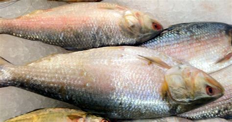 Pulasa Pulusu: Monsoon Season’s Favourite Fish Curry from the Godavari ...