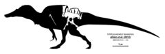 Image result for Web Programming HTML/CSS