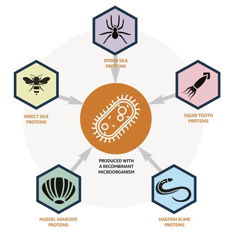 Biotechnology Examples 的图像结果