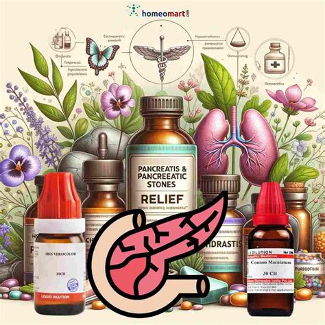 Top Homeopathic Medicines for Pancreatitis & Pancreatic Stones – Homeomart