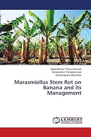 Buy Marasmiellus Stem Rot on Banana and its Management Book Online at ...