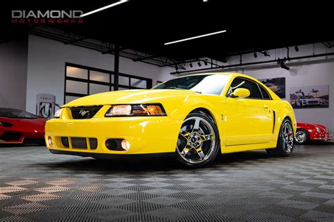 For Sale Mustang Cobra Terminator at Lara Roberts blog