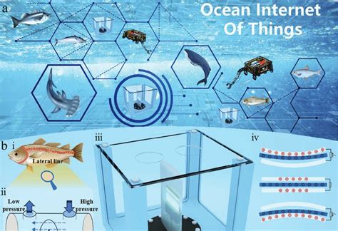 Image result for Lateral Line Sensor