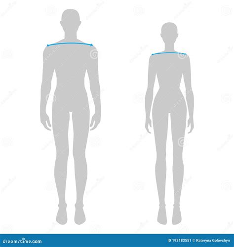 Men To Do Shoulder Width Measurement Body With Arrows Fashion ...