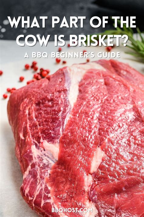 What Part of the Cow is Brisket? A BBQ Beginner’s Guide in 2025 ...