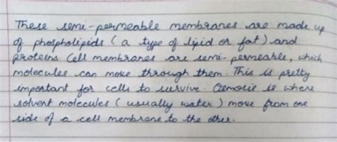 what is the role of semipermeable membrane in Osmosis? - Brainly.in