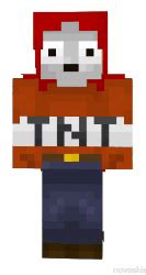 Image result for Minecraft ExplodingTNT Skin