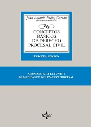 Buy Conceptos basicos de derecho procesal civil / Basic Concepts of ...