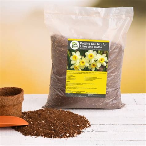Buy Potting Soil Mix for Lilies and Bulbs - 5 kg online from ...