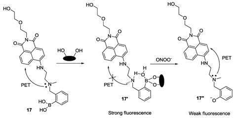 Recent Progress in Fluorescent Imaging Probes
