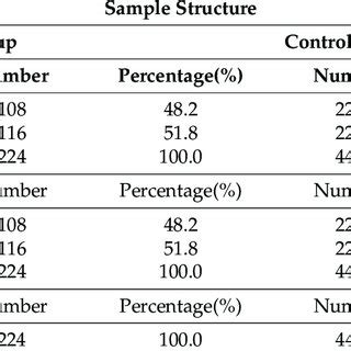 Dataset Example 的图像结果
