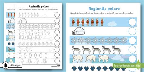 Regiunile polare – Fișă de lucru matematică - Twinkl