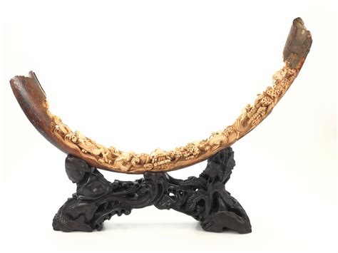 Image result for ivory mastodon