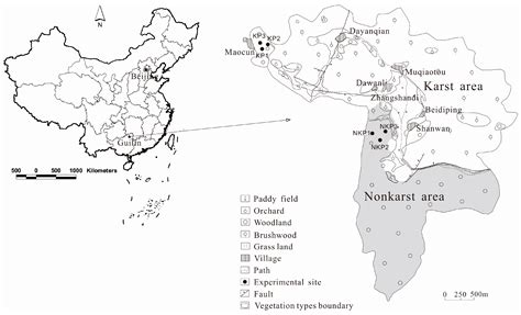 CO2 Transfer Characteristics of Calcareous Humid Subtropical Forest ...
