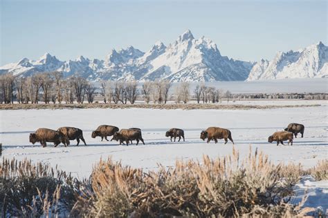 Getting Around - Visit Jackson Hole