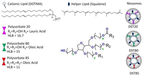 Polysorbate-Based Drug Formulations for Brain-Targeted Drug Delivery ...