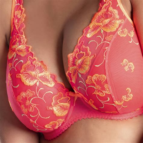 Triangle Bra 的图像结果