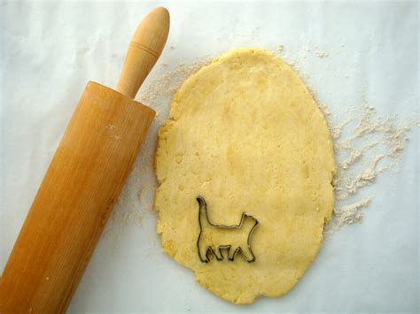 Image result for Cat Chasing Cookies