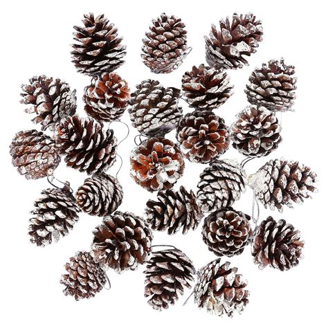 Buy Cooraby 24 Pieces Christmas Pine Cones Ornament Natural PineCones ...