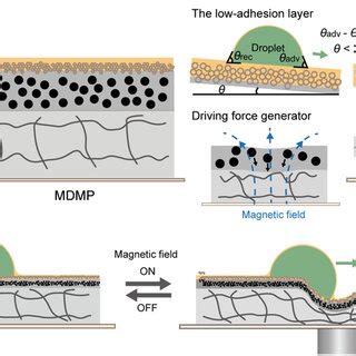 MDMP Examples 的图像结果