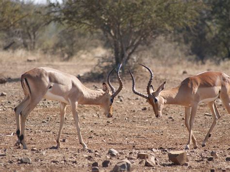 FAMBA FAMBA TOUR DESIGN SPECIALISTS (2026) All You Need to Know BEFORE ...