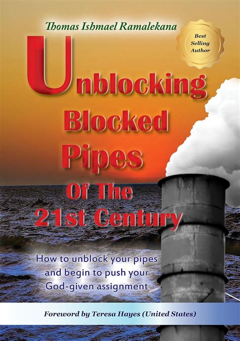 Unblocking Blocked Pipes Of The 21st Century eBook : Ishmael Ramalekana ...