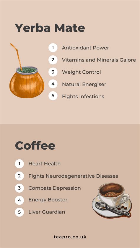 Yerba Mate Tea Caffeine