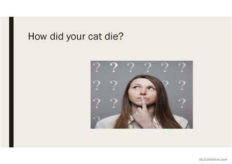 Image result for Asking Questions Examples