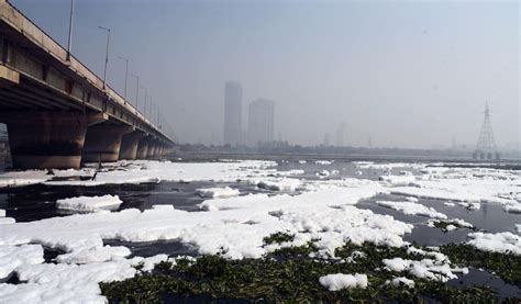 Yamuna polluted beyond threshold level, aquatic life declines sharply
