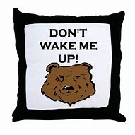 Image result for Don't Wake Me Up