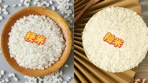 粳米和籼米有什么不同，附详细介绍 - 农敢网