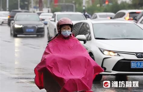 雨҈雨҈雨҈，“上班”啦~ - 潍坊新闻 - 潍坊新闻网