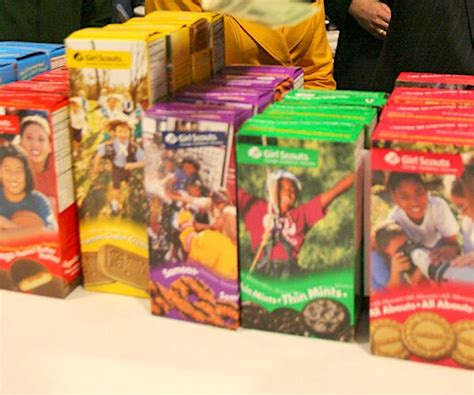 Girl Scouts of Alaska Get Paycheck Protection Program Loan as Cookie ...