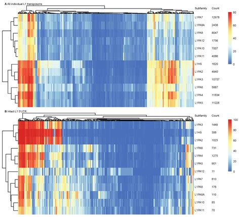 Widespread Exaptation of L1 Transposons for Transcription Factor ...