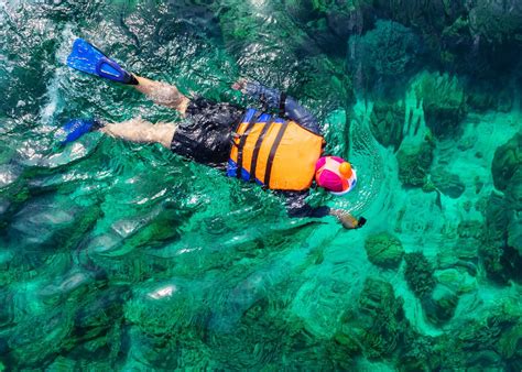 Image result for GoPro Zoom