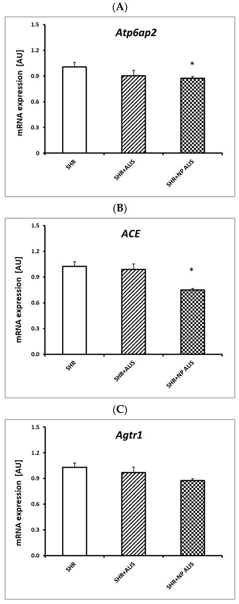 Aliskiren-Loaded Nanoparticles Downregulate (Pro)renin Receptor and ACE ...