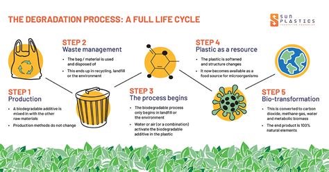Biodegradable 的图像结果