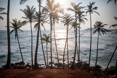 Coconut Hill – Ruben Rekker