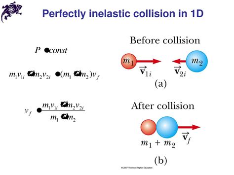 Image result for Example of Perfectly Inelastic Collision
