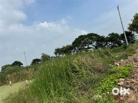 LAND PLOT IN NAMBURU VVIT COLLEGE - Lands & Plots - 1823695197