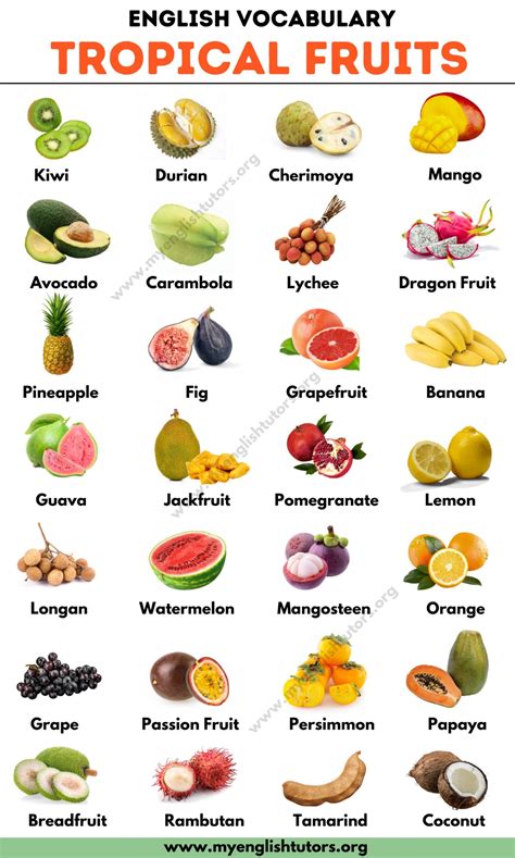 Tropical Fruits: List of 25+ Tropical Fruits You Should Try - My ...