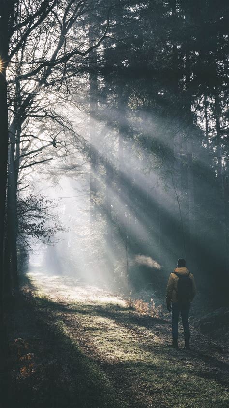 Download wallpaper 1080x1920 man, forest, sunlight, light, fog, nature ...