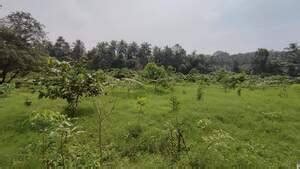 Haritha Kerala Mission sets ambitious goal: Establishes 1000 'Live ...