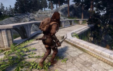 Skyrim Animation 的图像结果