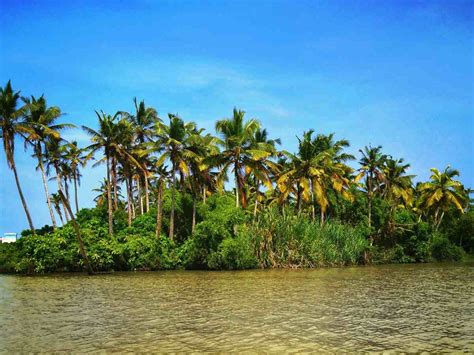 Top 5 Places In Thiruvananthapuram: From Napier Museum To Poovar Island