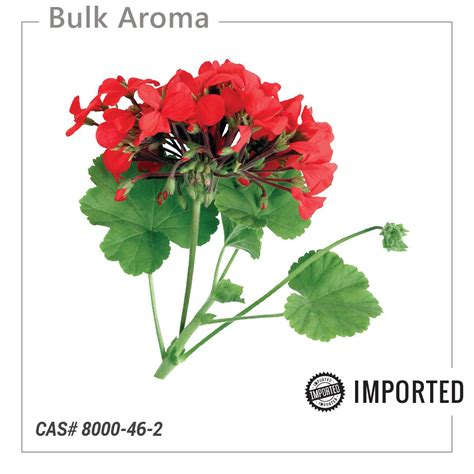 Geranium Essential Oil Egypt from Imported-Naturals – Bulkaroma